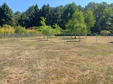 Terrain a batir a vendre Changé 72560 Sarthe 1148 m2  162700 euros