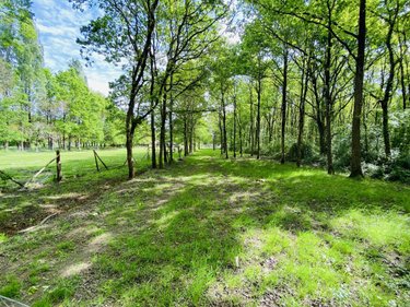 Maison a vendre La Chevrolière 44118 Loire-Atlantique 156 m2  351570 euros