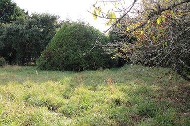 Terrain a batir a vendre Le Palais 56360 Morbihan 2137 m2  362250 euros