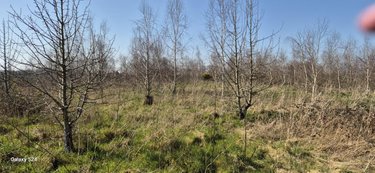Terrains de loisirs bois etangs a vendre Freigné 44540 Loire-Atlantique 20950 m2  17400 euros
