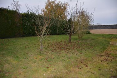 Location maison Château-Gontier-sur-Mayenne 53200 Mayenne 78 m2 5 pièces 600 euros