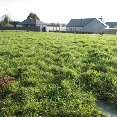 Terrain a batir a vendre La Colombe 50800 Manche 789 m2  32160 euros