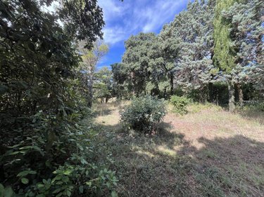 Terrain a batir a vendre La Garde-Adhémar 26700 Drôme 1580 m2  160000 euros