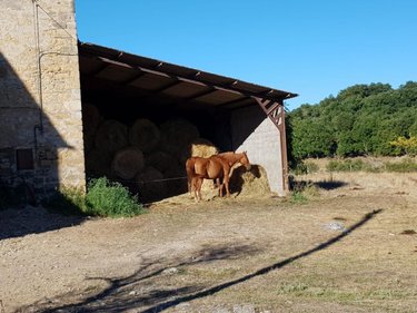 Maison a vendre Saint-Affrique 12400 Aveyron 900 m2 14 pièces 300000 euros