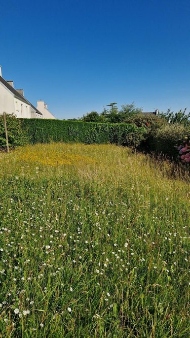 Maison a vendre Saint-Martin-des-Champs 29600 Finistère 66 m2 3 pièces 147140 euros