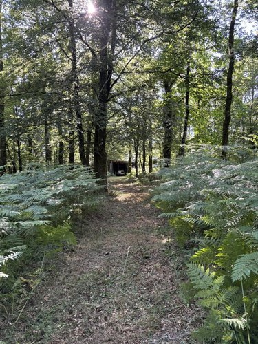Terrains de loisirs bois etangs a vendre Plouay 56240 Morbihan 25540 m2  22000 euros