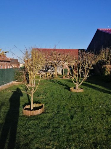 Maison a vendre Grévillers 62450 Pas-de-Calais 146 m2 6 pièces 196000 euros