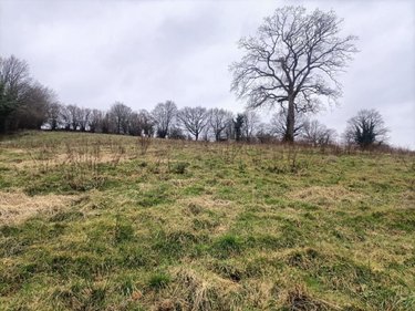 Terrains de loisirs bois etangs a vendre Rouffigny 50800 Manche 23575 m2  25375 euros