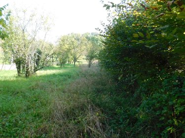 Terrain a batir a vendre Pont-d'Ain 01160 Ain 1077 m2  75500 euros