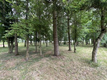 Terrains de loisirs bois etangs a vendre Moisy 41160 Loir-et-Cher 10155 m2  25000 euros