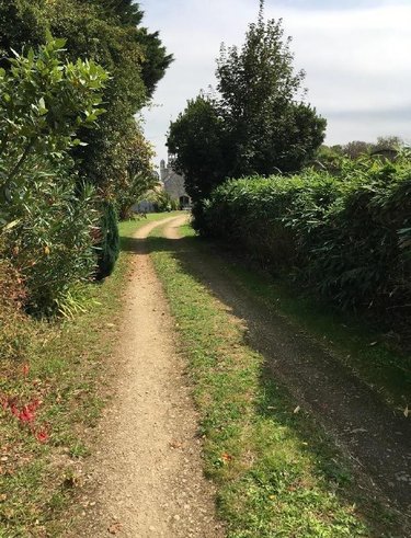 Terrain a batir a vendre Confort-Meilars 29790 Finistère 816 m2  47797 euros