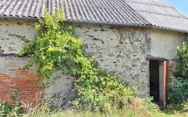 Maison a vendre Mozé-sur-Louet 49610 Maine-et-Loire 55 m2 3 pièces 84000 euros