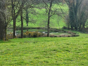 Maison a vendre Plouray 56770 Morbihan 164 m2 3 pièces 200060 euros