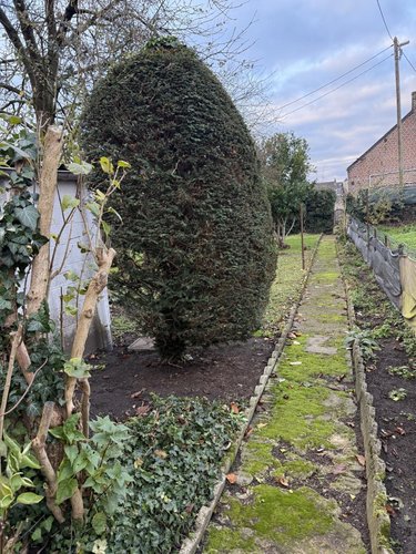 Maison a vendre Caudry 59540 Nord 117 m2 9 pièces 67000 euros