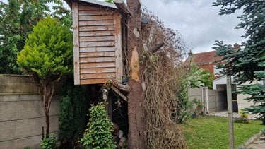 Location maison Courcelles-lès-Lens 62970 Pas-de-Calais 65 m2  730 euros