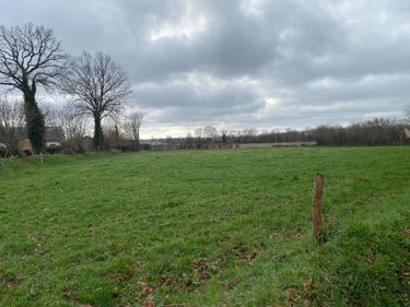 Terrain a batir a vendre Coulonces 14500 Calvados 3100 m2  33000 euros