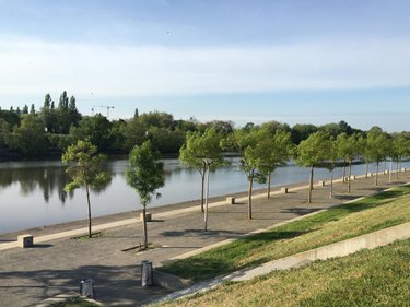 Location appartement Angers 49000 Maine-et-Loire 28 m2 1 pièce 643 euros