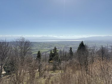 Maison a vendre Gex 01170 Ain 201 m2 5 pièces 650000 euros