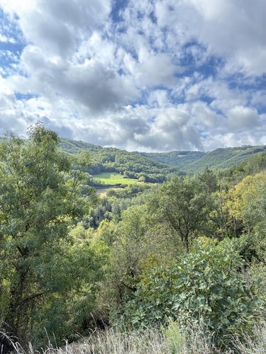 Maison a vendre Saint-Izaire 12480 Aveyron 98 m2 4 pièces 124900 euros