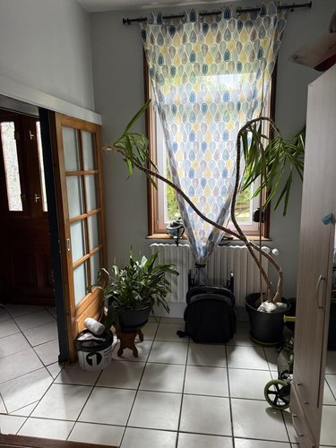 Maison a vendre Beauvois-en-Cambrésis 59157 Nord 146 m2 11 pièces 146720 euros
