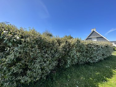 Maison a vendre Saint-Pierre-Quiberon 56510 Morbihan 200 m2 7 pièces 589843 euros