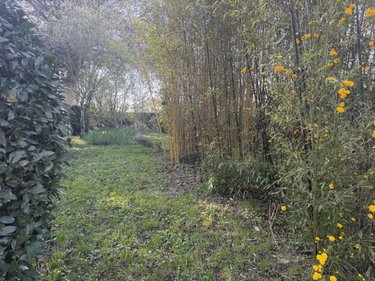 Terrain a batir a vendre Le Lion-d'Angers 49220 Maine-et-Loire 666 m2  115280 euros