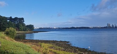 Appartement a vendre Port-Louis 56290 Morbihan 43 m2 2 pièces 165128 euros