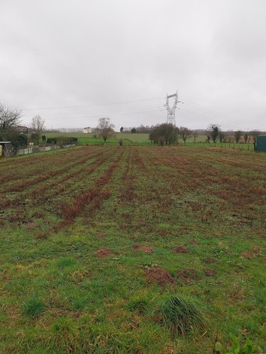 Terrain a batir a vendre Tincques 62127 Pas-de-Calais 2200 m2  73000 euros