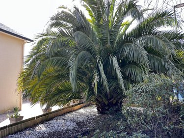 Maison a vendre Saint-Avé 56890 Morbihan 187 m2  770000 euros