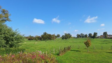 Maison a vendre Saint-Bénigne 01190 Ain 150 m2 7 pièces 249000 euros