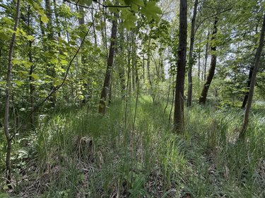 Terrains de loisirs bois etangs a vendre Daours 80800 Somme 7080 m2  28000 euros