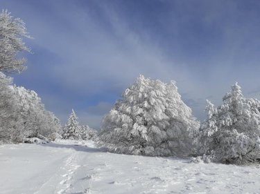 Terrain a batir a vendre Val d'Aigoual 30570 Gard 1380 m2  129000 euros