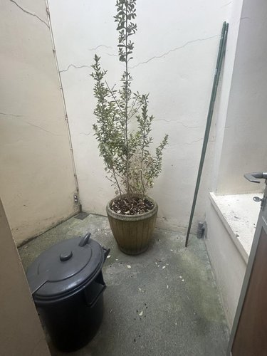 Immeuble a vendre Cambrai 59400 Nord 101 m2  130000 euros