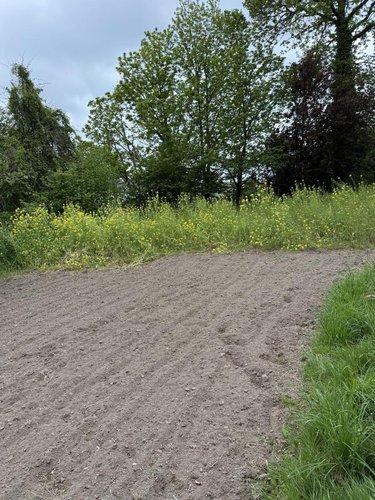 Maison a vendre Saint-Gouéno 22330 Côtes-d'Armor 50 m2 1 pièce 64500 euros