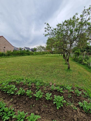 Location maison Tilloy-lès-Mofflaines 62217 Pas-de-Calais 100 m2  974 euros