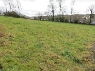 Terrain a batir a vendre Roullours 14500 Calvados 1100 m2  36000 euros