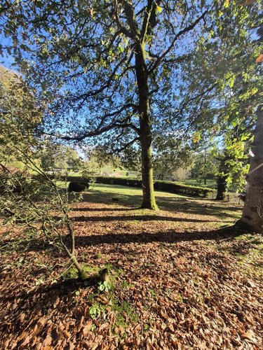 Maison a vendre Guiclan 29410 Finistère 105 m2 4 pièces 156750 euros