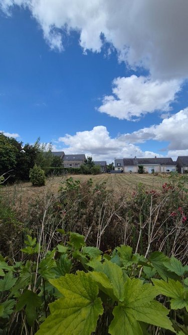 Terrain a batir a vendre Angrie 49440 Maine-et-Loire 600 m2  39000 euros