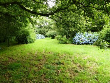 Maison a vendre Lignol 56160 Morbihan 90 m2 4 pièces 168450 euros