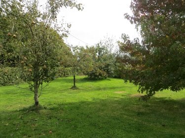 Maison a vendre Viessoix 14410 Calvados 89 m2 5 pièces 200400 euros