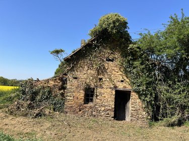 Divers a vendre Freigné 44540 Loire-Atlantique 671 m2  270400 euros