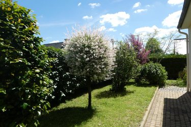 Maison a vendre Plouigneau 29610 Finistère 93 m2 5 pièces 197200 euros