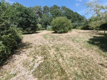 Terrains de loisirs bois etangs a vendre Nivillac 56130 Morbihan 5500 m2  106500 euros