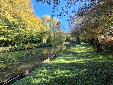 Terrains de loisirs bois etangs a vendre Beaucourt-sur-l'Ancre 80300 Somme 2719 m2  63800 euros