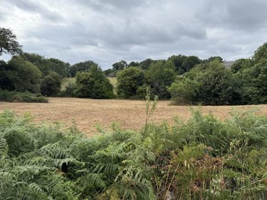 Maison a vendre Sulniac 56250 Morbihan 84 m2 3 pièces 155925 euros