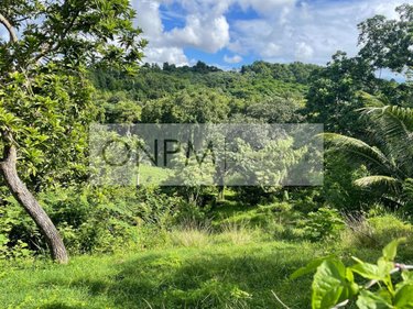 Terrain a batir a vendre Ducos 97224 Martinique 1405 m2  170000 euros