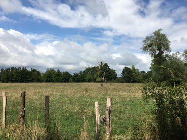 Terrains de loisirs bois etangs a vendre Chevillé 72350 Sarthe 56080 m2  31030 euros