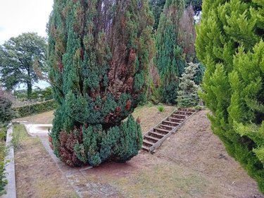 Maison a vendre Marzan 56130 Morbihan 173 m2 8 pièces 342408 euros
