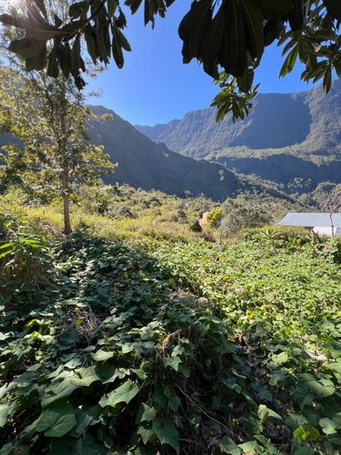 Terrain a batir a vendre Cilaos 97413 Réunion 1266 m2  71200 euros