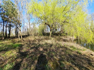 Terrains de loisirs bois etangs a vendre Challans 85300 Vendée 9948 m2  32800 euros